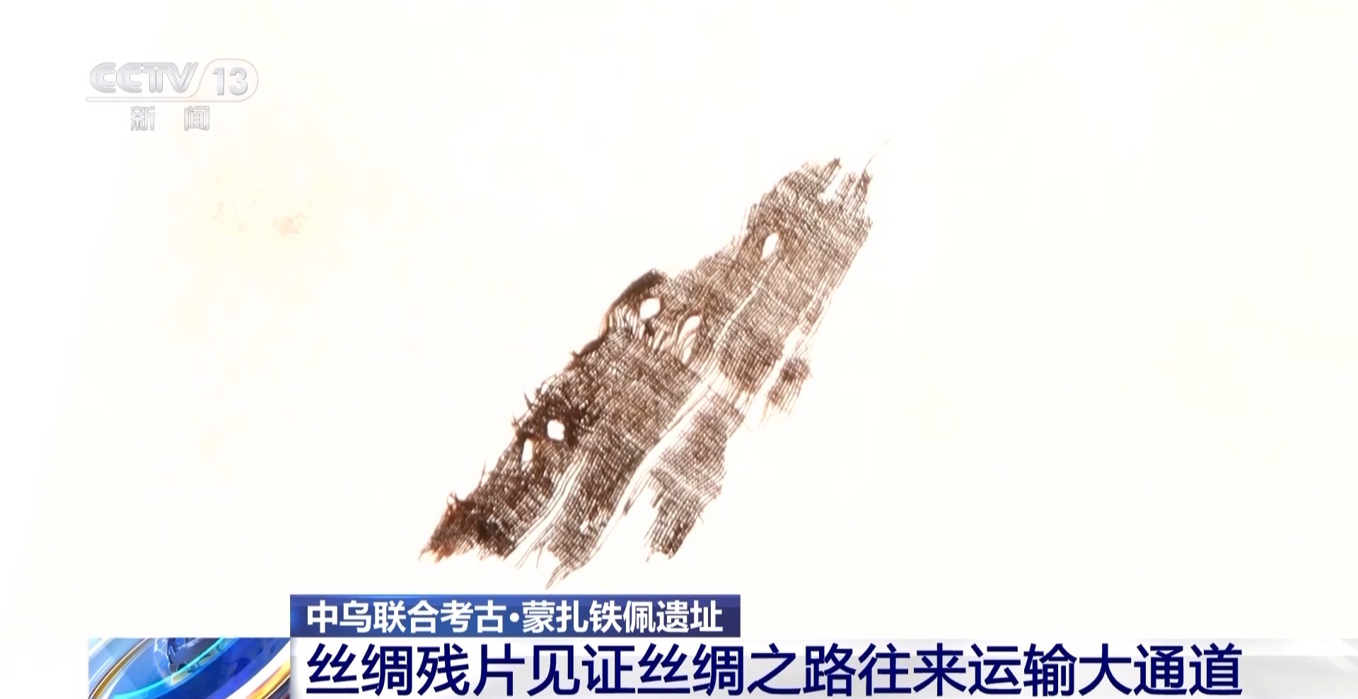 中亚古墓出土丝绸和中国式样古币！专家：研究结果可能超乎想象