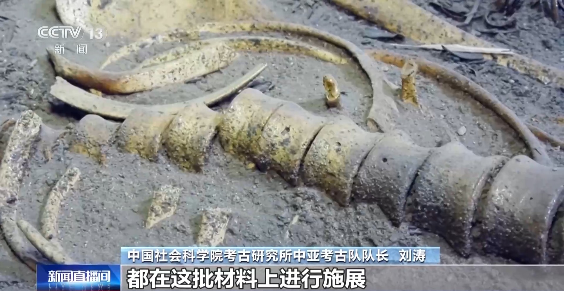 中亚古墓出土丝绸和中国式样古币！专家：研究结果可能超乎想象(图14)