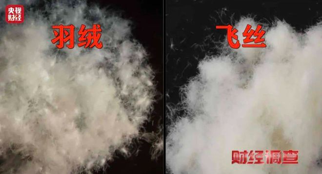服装315 羽绒服虚假宣传频发 ZARA等再曝质量问题(图1)