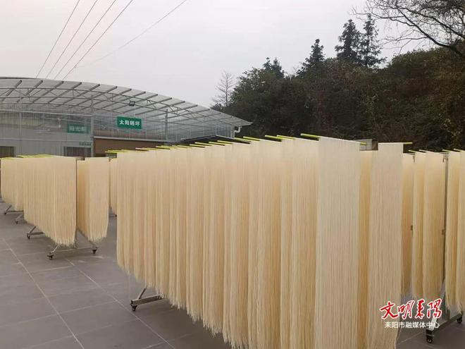 耒阳仁义：31家面条工厂成就乡镇名片！