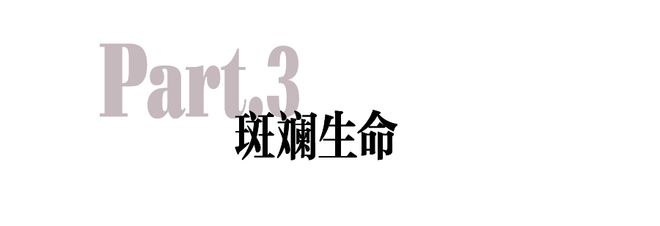 出走半个世纪归来还是流行王者！(图12)