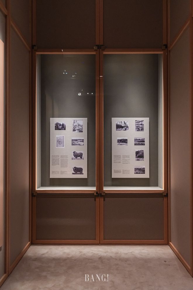Loro Piana百年首展亮相上海带你实探质感宇宙！(图4)