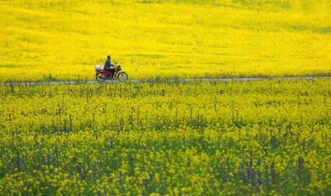 明日春分牢记最不能做4件事：1不碰2不去3不出4不吃(图2)