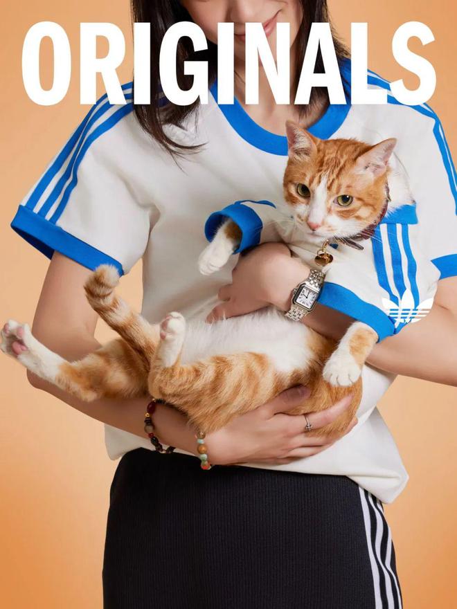 宠物服饰成为 adidas 最近被抢购的爆品…(图1)