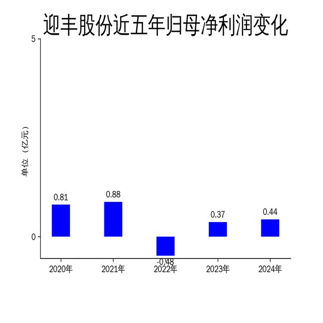 迎丰股份2024年财报：营收1579亿元扣非净利润增长4264%但一季度亏损扩大至986万元(图2)