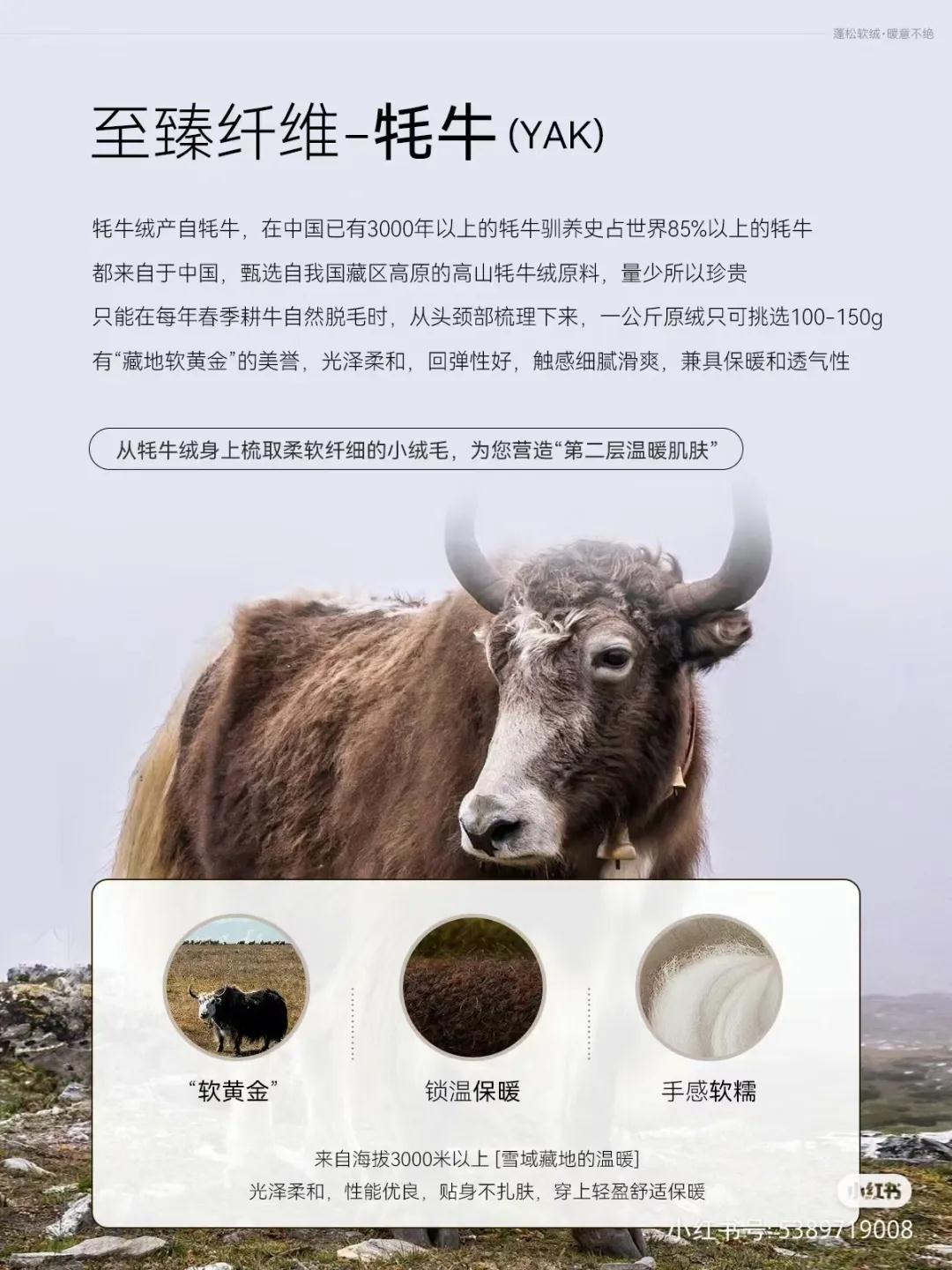 破浪先行！2024中国纺联大湾区纺博会今日启幕！(图1)