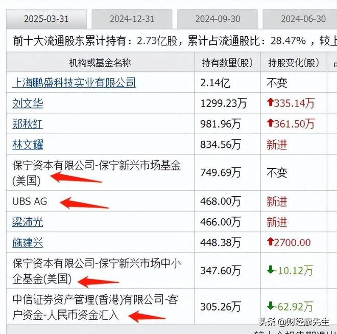 外资集体抄底这25家公司10大股东有一半都是知名外资新进场(图15)
