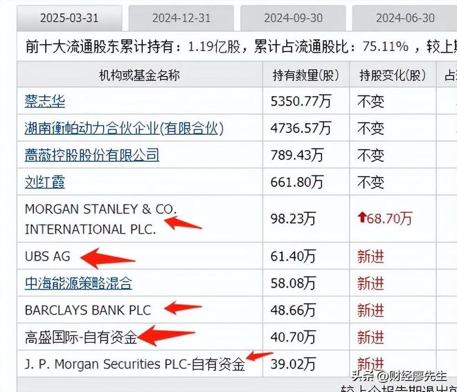 外资集体抄底这25家公司10大股东有一半都是知名外资新进场(图17)