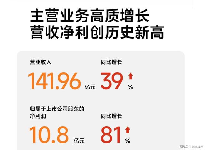 九号电动2024年再创佳绩向着更广阔的未来进发(图2)