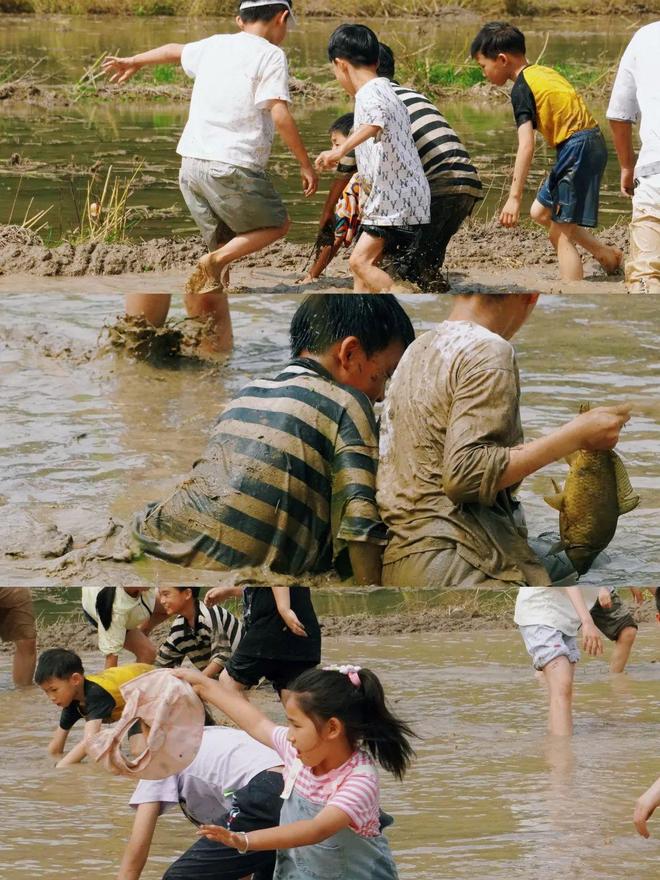 六一去桐庐摸鱼插秧正当时！(图3)
