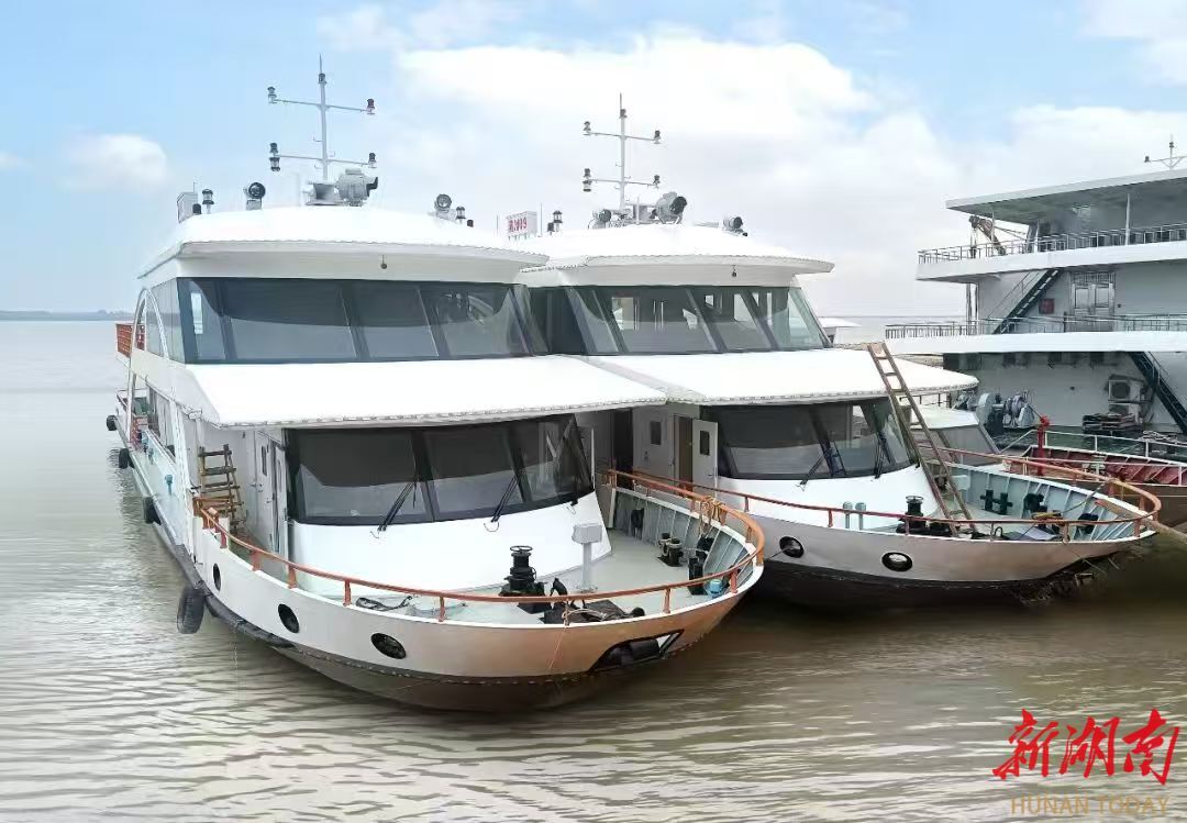 从“大而全”到“专而强”——沅江高新区体制机制改革激活发展新动能湖南日报(图7)