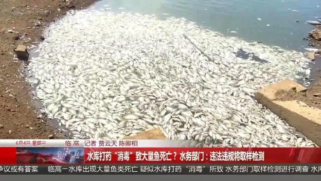 深夜无人机喷洒液体致海南一水库死鱼成片！
