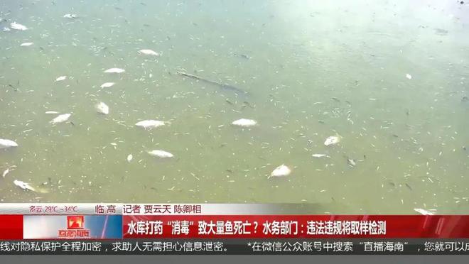 深夜无人机喷洒液体致海南一水库死鱼成片！(图4)