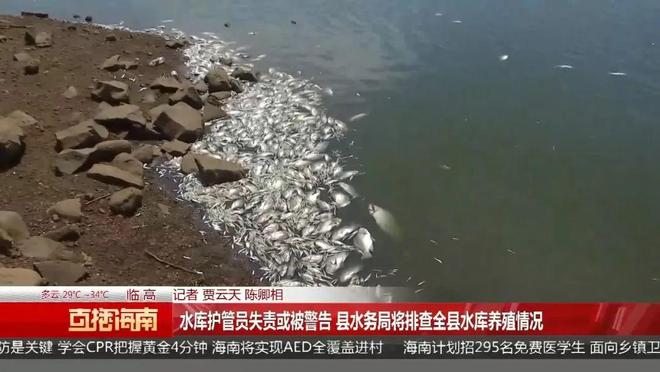 深夜无人机喷洒液体致海南一水库死鱼成片！(图7)