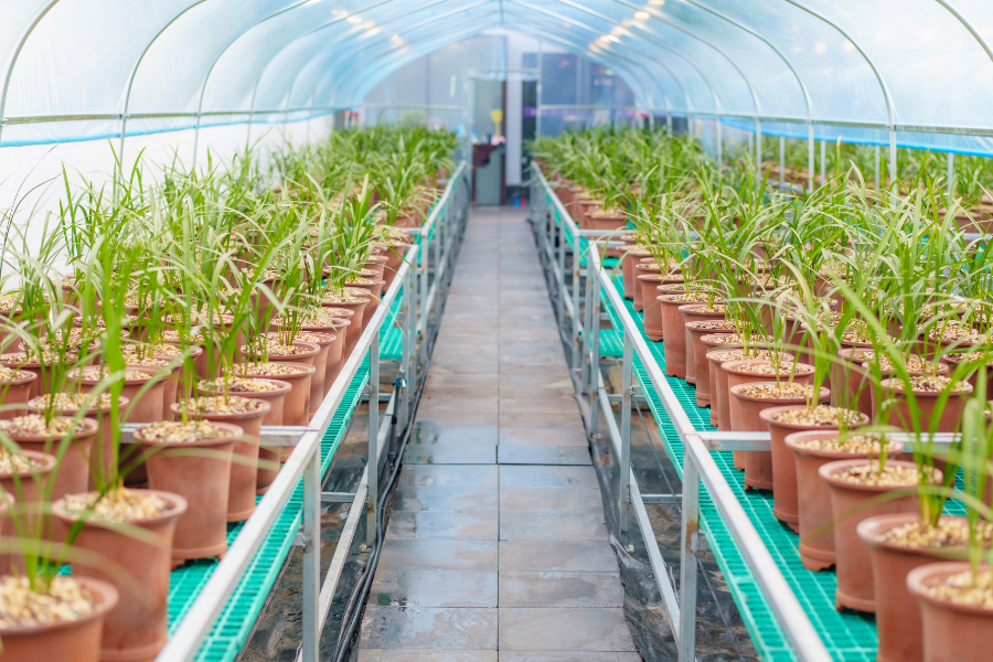 县·观察山东兰陵：“家底丰”何以实现“文旅兴”