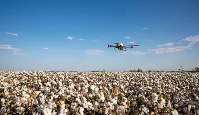 每3枚纱锭就有1枚在新疆转动！2910万锭产能的背后新疆和内地纺织企业要如何共进退？