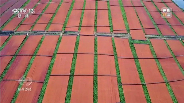 从博物馆藏到日常穿搭 “新中式”引领国潮新风尚(图15)