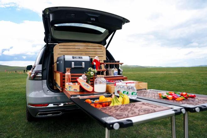 林肯双旗舰全路况豪华SUV草原巅峰征越;罗杰杜彼王者竞速系列新作来袭|直男Daily(图5)