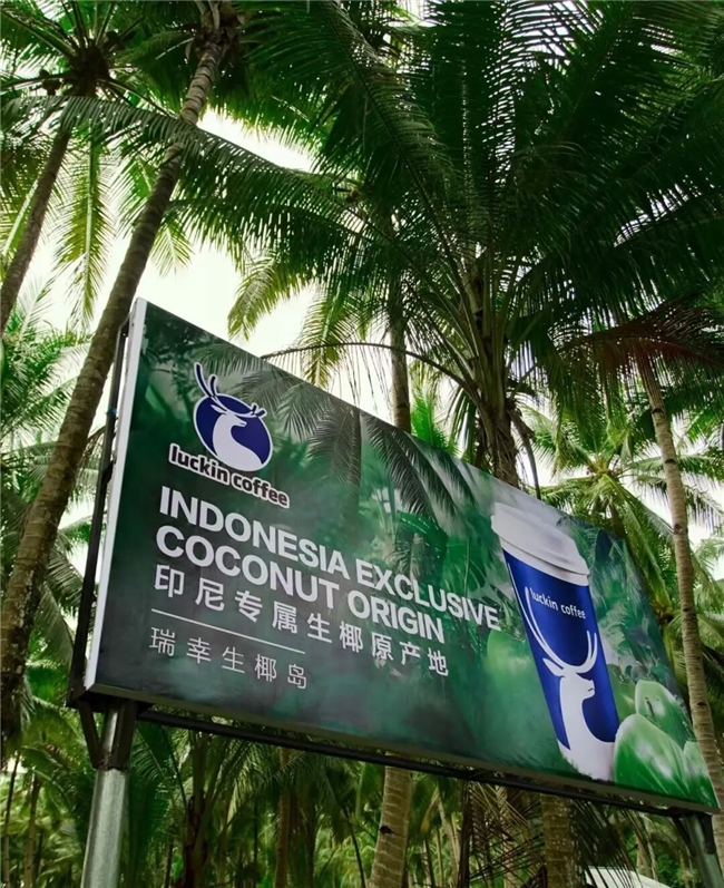 从印尼椰岛到横州茉莉园区:解码瑞幸的“原产地集群”战略(图4)
