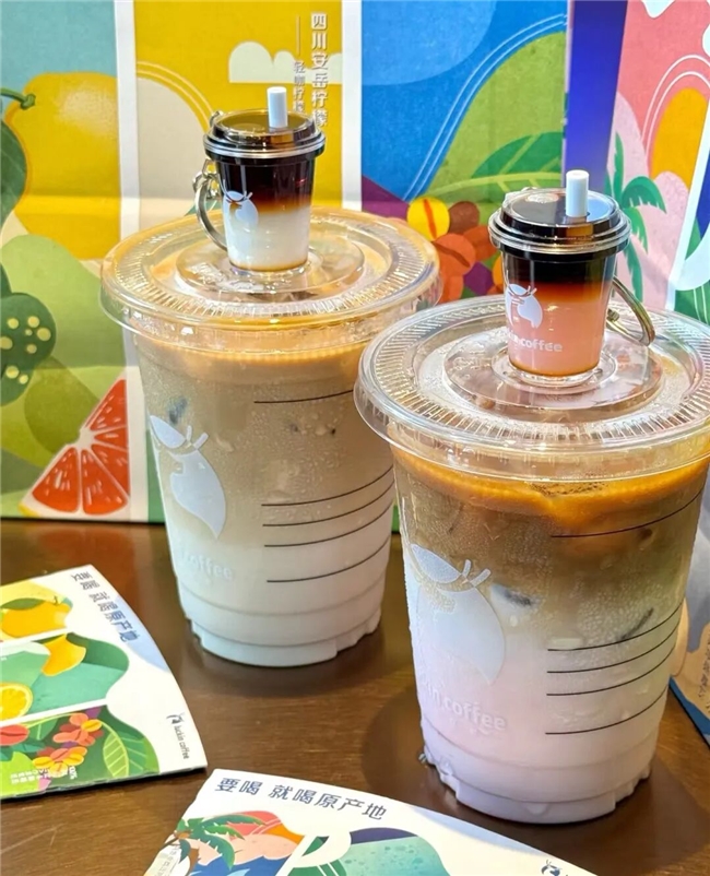 从印尼椰岛到横州茉莉园区:解码瑞幸的“原产地集群”战略(图5)