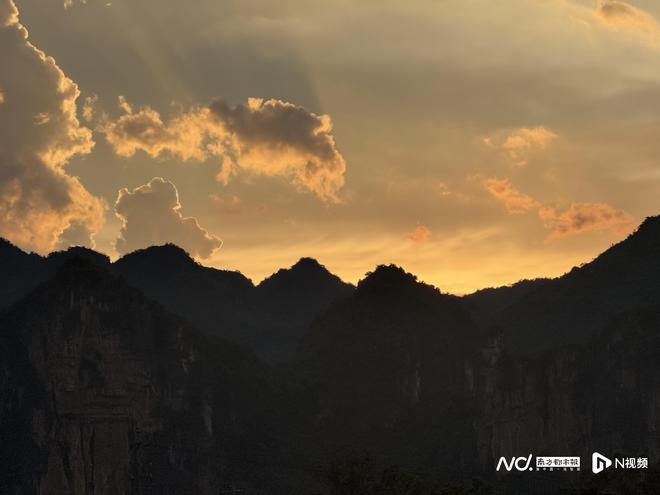 当星油藤遇上陈皮：粤桂产业、文旅和消费等领域的协作新图景(图12)