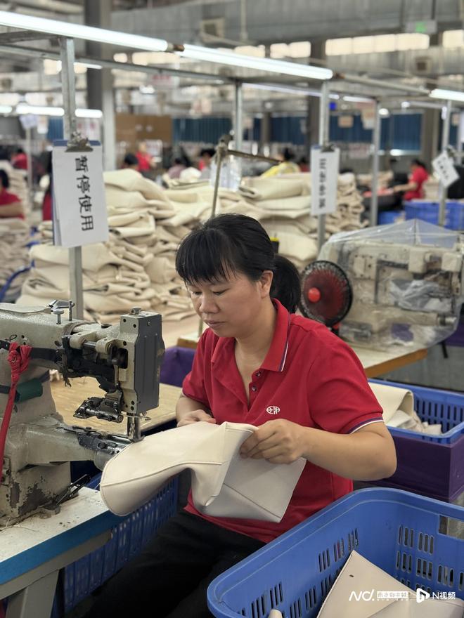 当星油藤遇上陈皮：粤桂产业、文旅和消费等领域的协作新图景(图4)