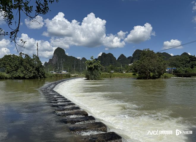 当星油藤遇上陈皮：粤桂产业、文旅和消费等领域的协作新图景(图11)