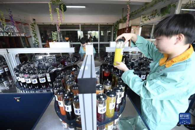 李婷:服装业的老板们是让财富流动的中坚群体(图6)