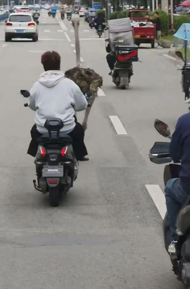 理想回应MEGA 行驶中起火车主发声雷军谈K90定价质疑:内存涨价太多苹果着手调查部分iPhone 17 Pro褪色(图28)