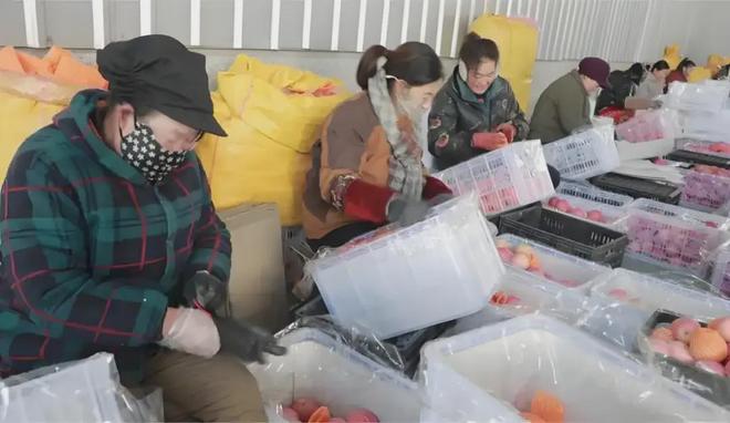 凭什么中国人吃水果可以这么便宜？(图15)