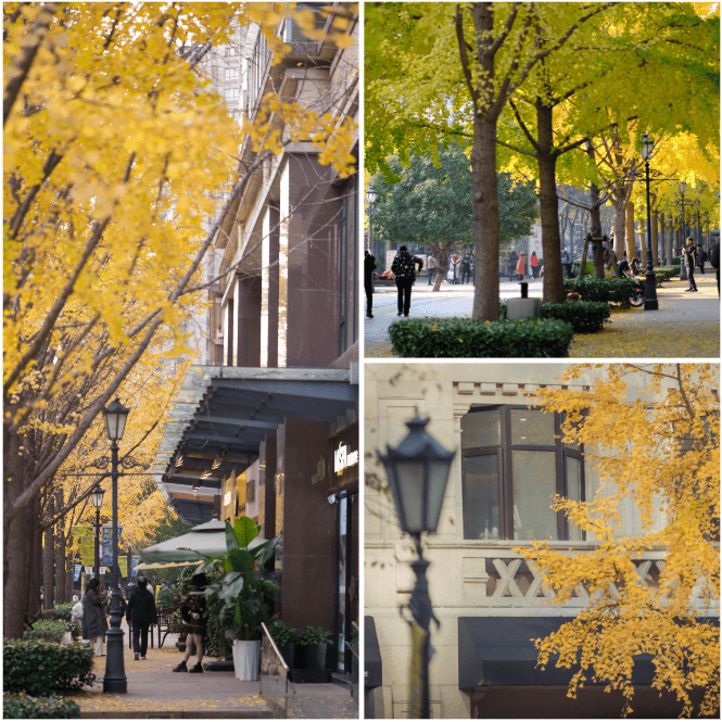 古北99(售楼处) 首页 - 古北99销售中心 - 环境户型价格地址楼盘详情配套电话交房时间配套电话交房时间(图11)