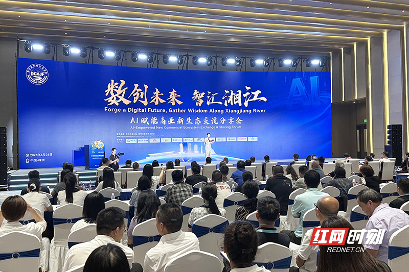 观察丨从一场展会看湖南如何做好内外贸一体化大文章(图4)
